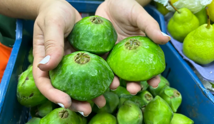 O evento leva mais informações sobre os frutos aos consumidores e aumenta as expectativas de vendas dos comerciantes (Divulgação/PMMC)