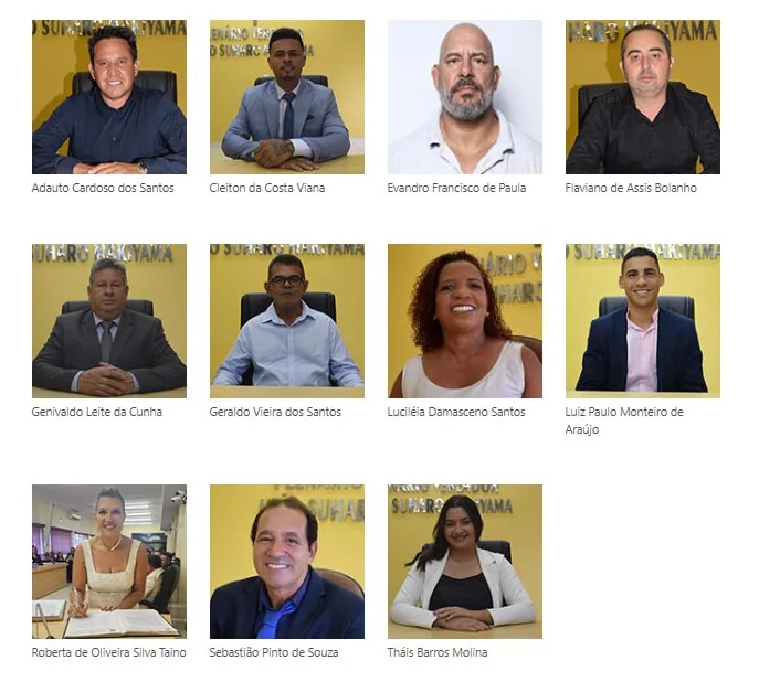 Vereadores da Legislatura de 2025/2028. Foto: Reprodução