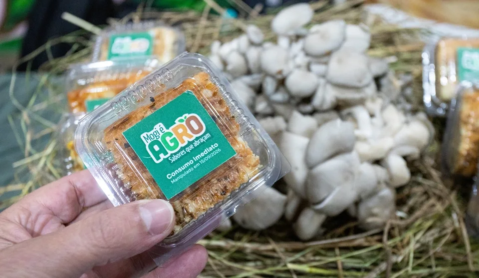 A iniciativa de destaque ao shimeji, uma das variedades de cogumelos produzidas no município. Foto: Divulgação/PMMC
