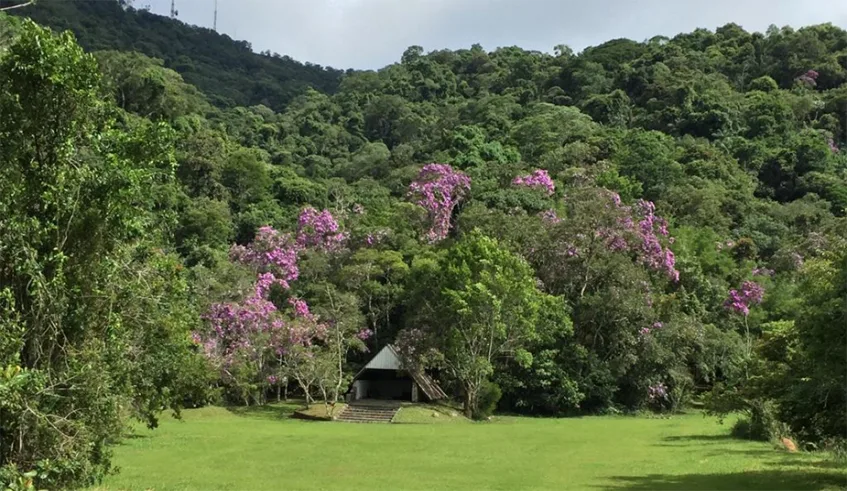 Parque Municipal Chiquinho Veríssimo é um dos patrimônio naturais de Mogi das Cruzes e receberá eventos da programação do Junho Eco-Sustentável. Foto: Divulgação/PMMC