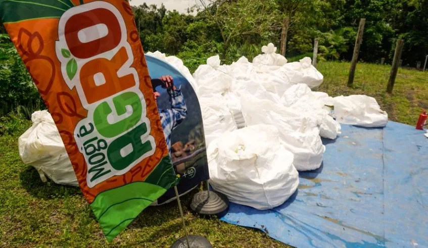 Programa itinerante que acontece nesta terça-feira, dia 02, faz parte da programação Junho Eco, fortalecendo a logística reversa e atendendo às normas ambientais