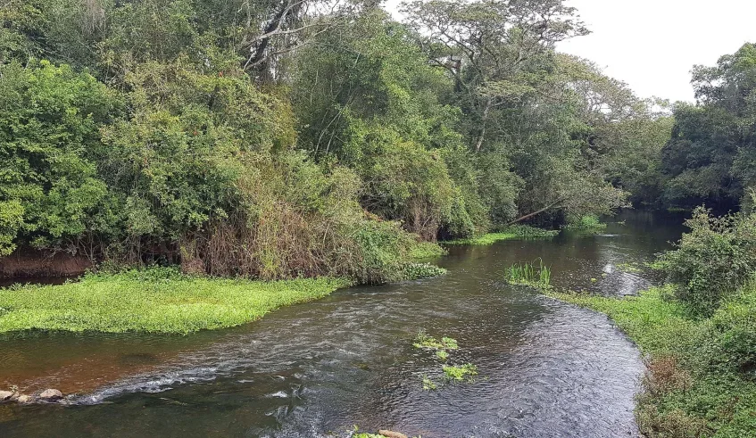 Atividade abordará ações educacionais para preservação do rio Tietê, com palestra e roda de conversa (. Foto: Julio Nogueira/Semae)