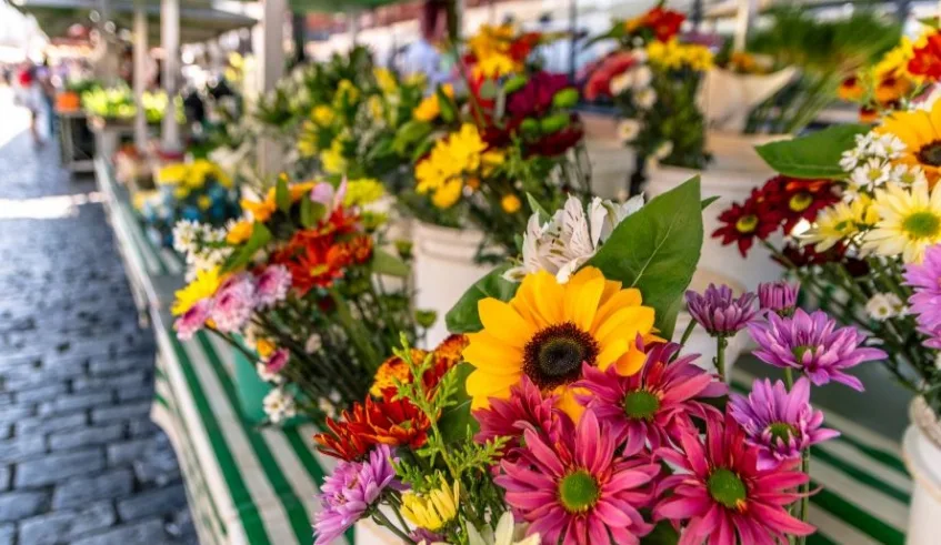 Para feirantes e floristas do Mercado Municipal, o Dia das Mães é uma das datas mais relevantes do calendário varejista; estimativa é de aumento de 50% nas vendas
