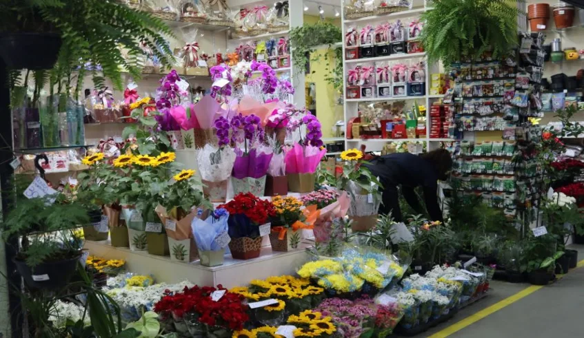 geral cekam Flores interna.JPG