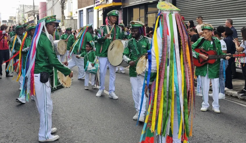 Entrada dos Palmitos é o ponto alto da programação folclórica da Festa do Divino Espírito Santo de Mogi das Cruzes e acontece neste sábado (23/05), a partir das 9h. Foto: Divulgação/PMMC