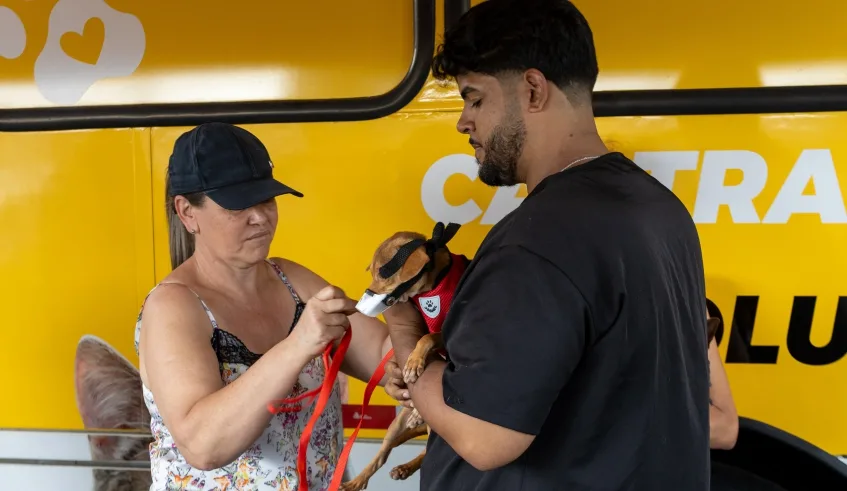 Nubea realiza um trabalho permanente de estímulo às castrações de cães e gatos, com campanhas em diversos bairros do município. Foto: Divulgação/PMMC