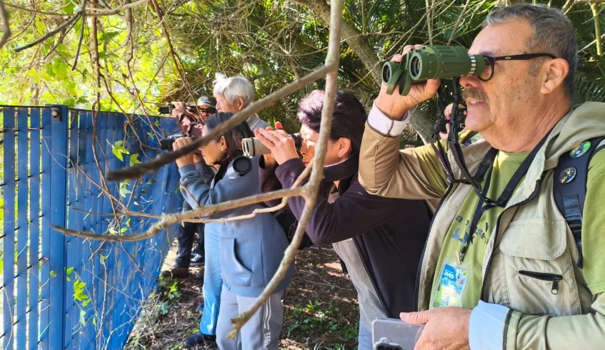 No Voa Passarinho desta sexta-feira (19/6) foram observadas 28 espécies, que vivem na área preservada localizada às margens do rio Tietê. Foto: Divulgação/PMMC