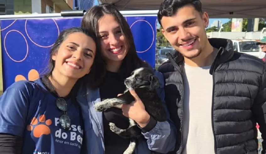 Feiras de adoção têm como objetivo encontrar lares para cães e gatos que aguardam uma família, além de arrecadar ração para o Banco de Ração. Foto: Divulgação/PMMC