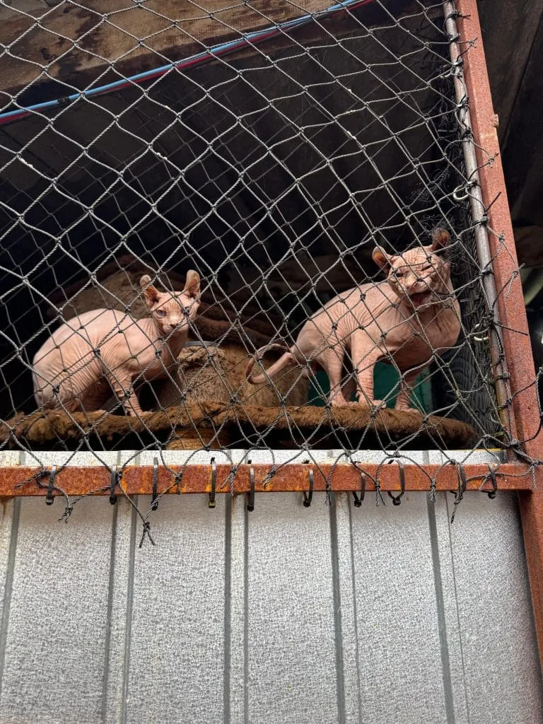 Foto da matéria