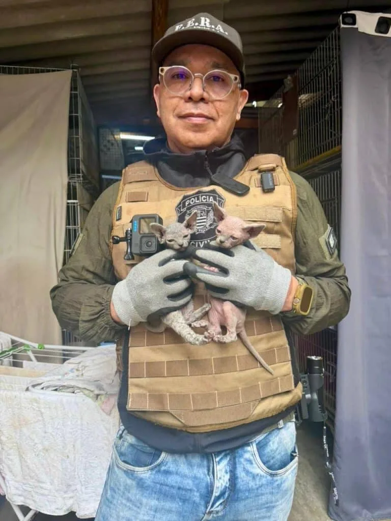 Foto da matéria
