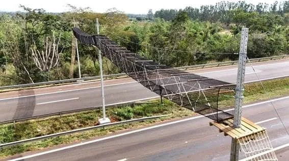 Foto da matéria