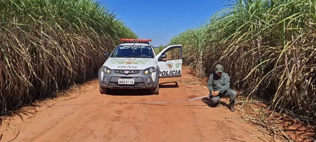Foto da matéria