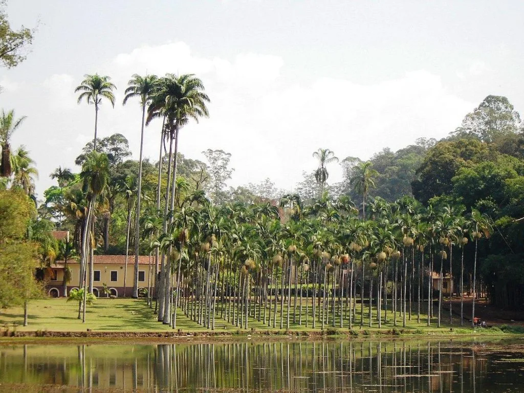 Foto da matéria