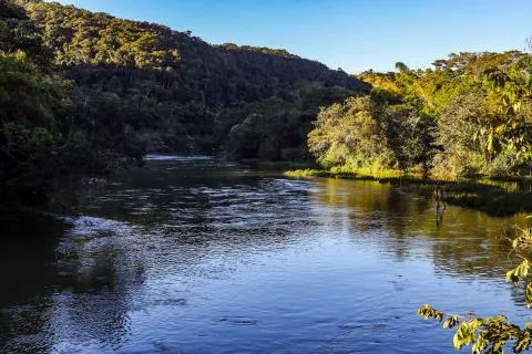 Foto da matéria