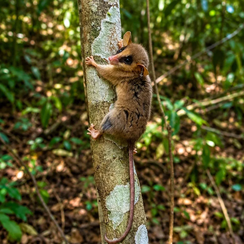 Foto da matéria