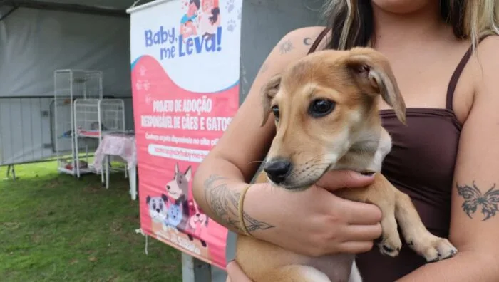 Foto da matéria