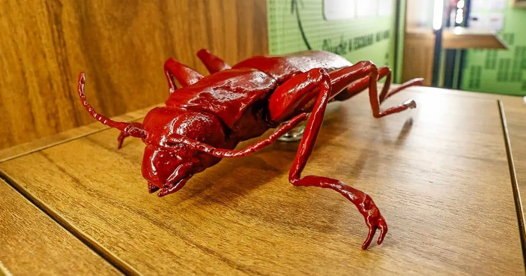 Foto da matéria