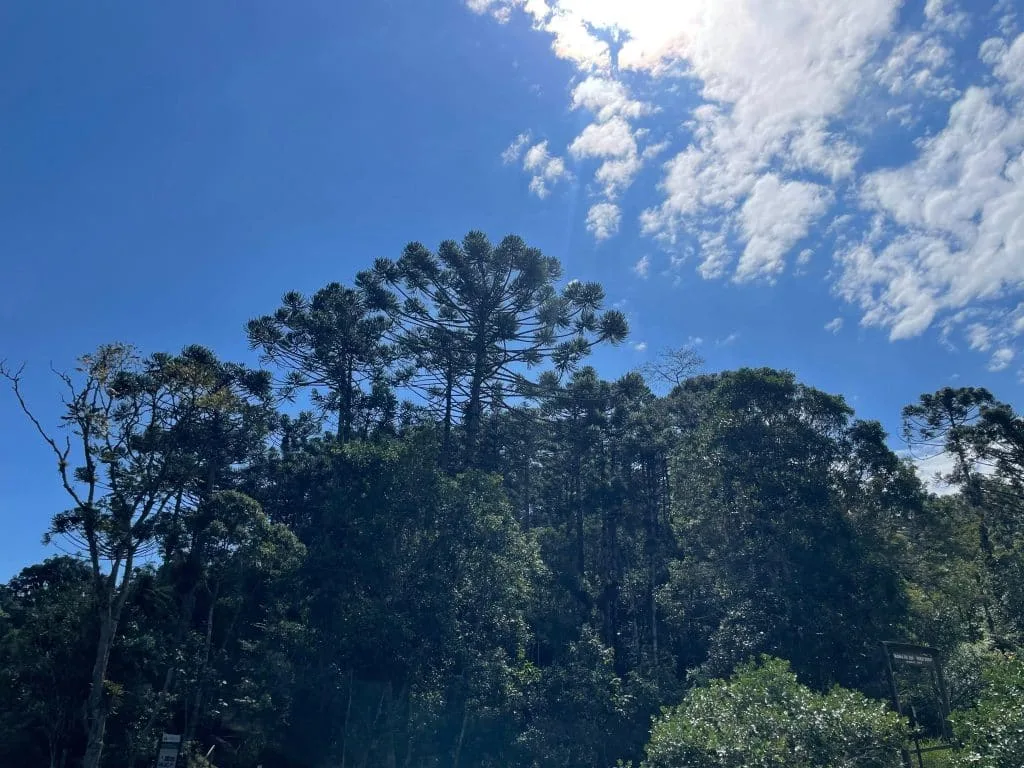Foto da matéria