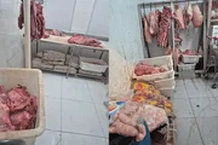 Carnes, peixes, frangos e ossos destinados ao descarte estavam armazenados no mesmo espaço, o que aumenta o risco de contaminação cruzada
