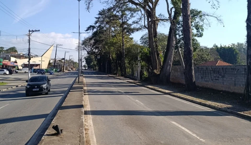 Equipes da Secretaria de Serviços Urbanos também fizeram poda da vegetação em terrenos às margens da avenida Francisco Rodrigues Filho. Foto: Divulgação/PMMC