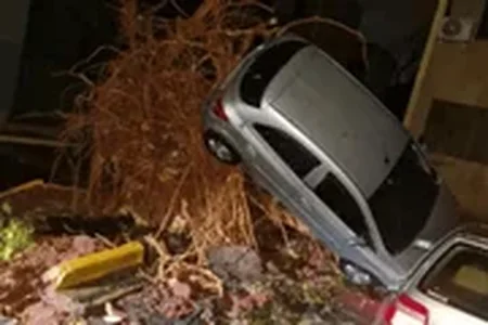 Temporal estaria relacionado com entrada de frente fria na cidade. A forte chuva resultou em quedas de árvores e destelhamentos