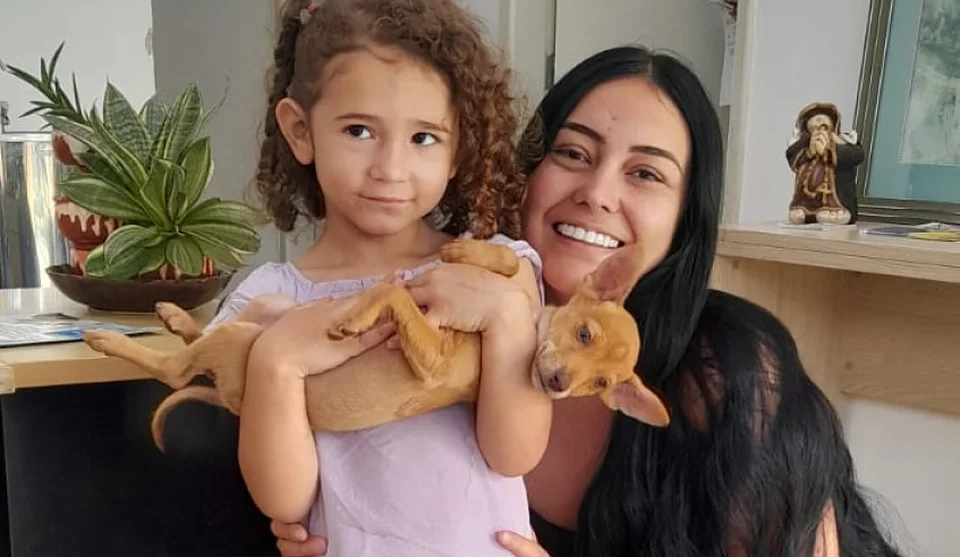 Cachorro foi adotado nesta quarta-feira (29/7): Nubea possui 100 animais disponíveis para adoção, entre cães e gatos, todos vacinados. Foto: Divulgação/PMMC