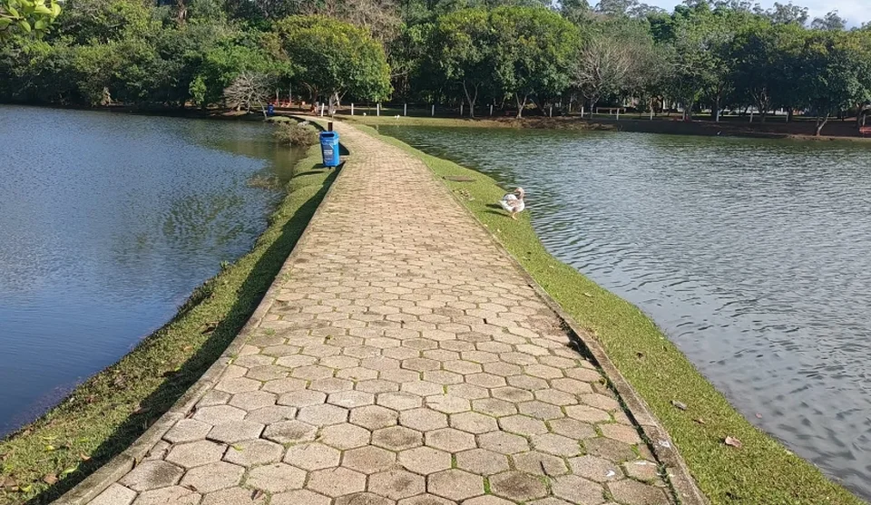 Parque Centenário volta a receber visitantes e frequentadores a partir desta quarta-feira (23/09) e funcionará todos os dias, das 7h às 18h. Foto: Divulgação/PMMC