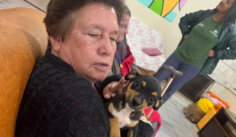 O simples ato de acariciar um cachorro ou um gato pode reduzir o estresse, aliviar a solidão e até diminuir a pressão arterial. Foto: Divulgação/PMMC
