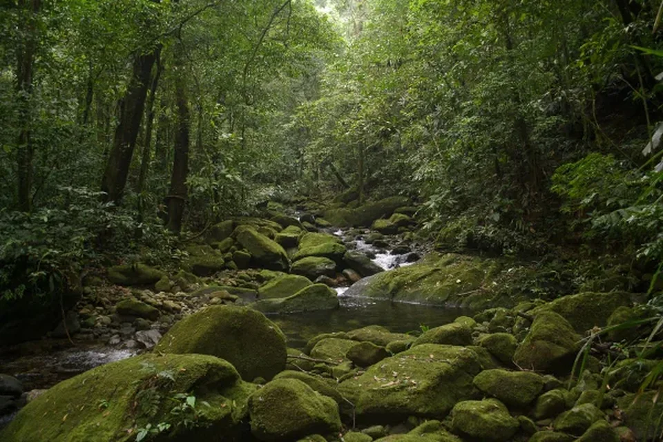 Após 10 anos, MPF fecha acordo sobre área de preservação no litoral de SP - destaque galeria