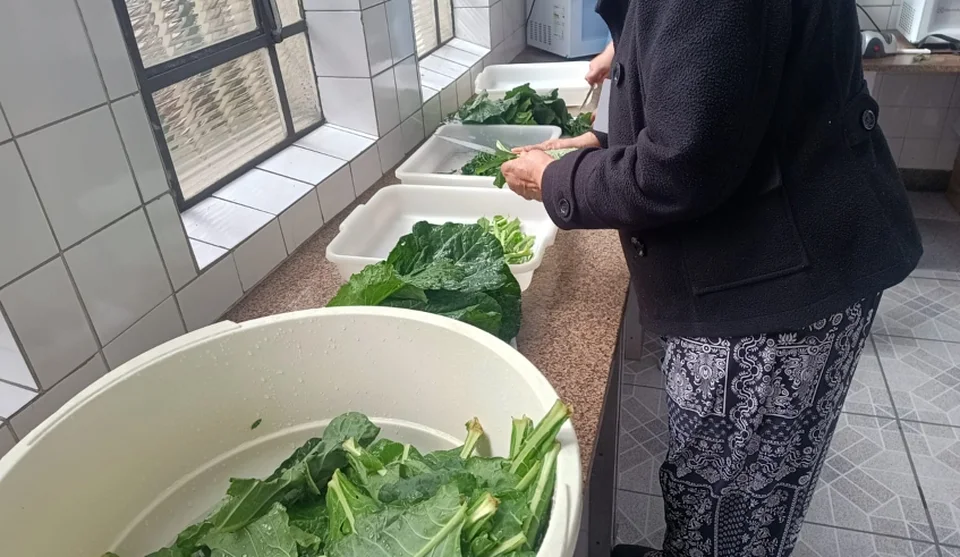 Ação realizada no Departamento de Alimentação Escolar compara tempo de preparo e aproveitamento entre alimentos in natura e frescos e higienizados. Foto: Divulgação/PMMC