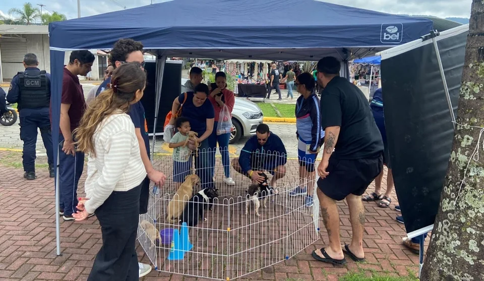 Feira de Adoção realizado no último domingo (11/10), garantiu a adoção consciente de sete cães, no Mercado do Produtor. Foto: Divulgação/PMMC